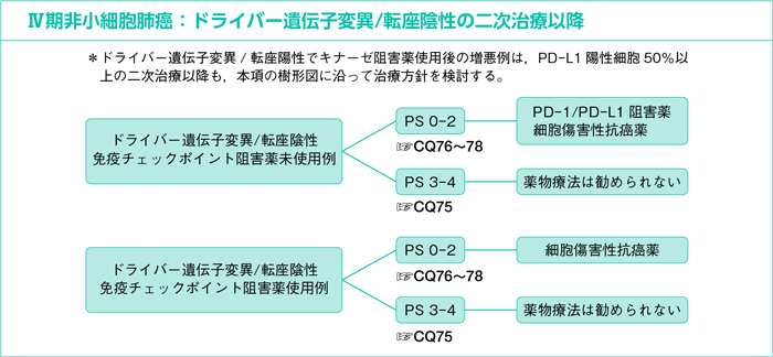 Ⅳ期非小細胞肺癌：ドライバー遺伝子変異/転座陰性の二次治療以降