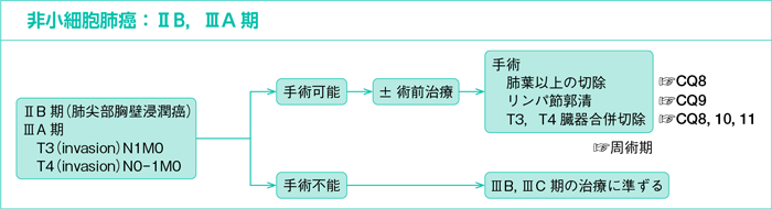 非小細胞肺癌：ⅡB，ⅢA期