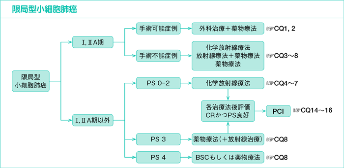 限局型小細胞肺癌