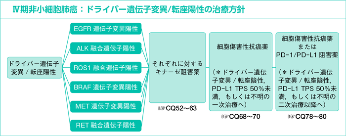 Ⅳ期非小細胞肺癌：ドライバー遺伝子変異/転座陽性の治療方針