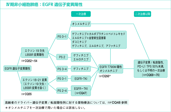 Ⅳ期非小細胞肺癌：EGFR遺伝子変異陽性