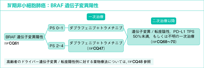 Ⅳ期非小細胞肺癌：BRAF遺伝子変異陽性