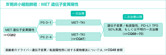 Ⅳ期非小細胞肺癌：MET遺伝子変異陽性