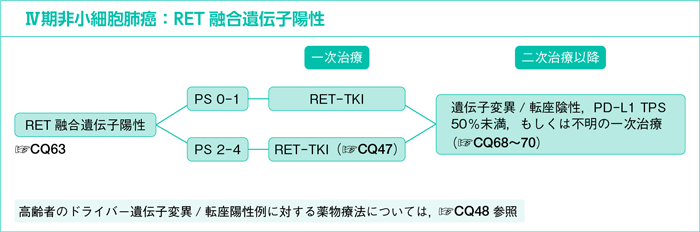 Ⅳ期非小細胞肺癌：RET融合遺伝子陽性