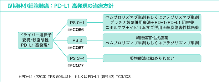 Ⅳ期非小細胞肺癌：PD-L1高発現の治療方針