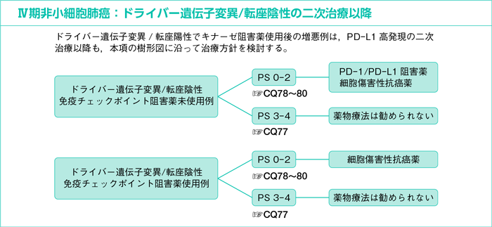 Ⅳ期非小細胞肺癌：ドライバー遺伝子変異/転座陰性の二次治療以降