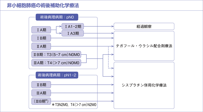 非小細胞肺癌の術後補助化学療法