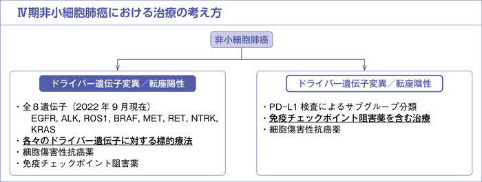 Ⅳ期非小細胞肺癌における治療の考え方