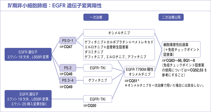 Ⅳ期非小細胞肺癌：EGFR遺伝子変異陽性