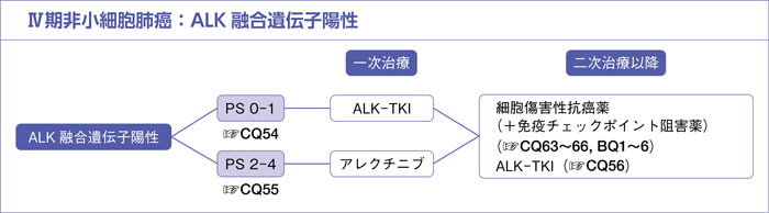 Ⅳ期非小細胞肺癌：ALK融合遺伝子陽性