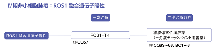 Ⅳ期非小細胞肺癌：ROS1融合遺伝子陽性