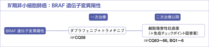 Ⅳ期非小細胞肺癌：BRAF遺伝子変異陽性
