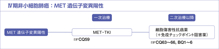 Ⅳ期非小細胞肺癌：MET遺伝子変異陽性