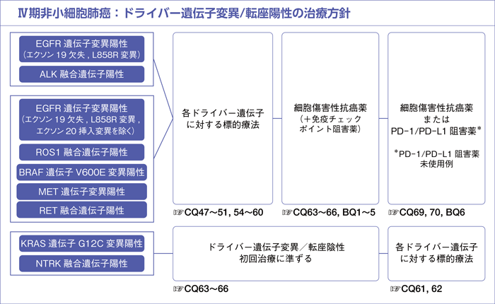 Ⅳ期非小細胞肺癌：ドライバー遺伝子変異/転座陽性の治療方針