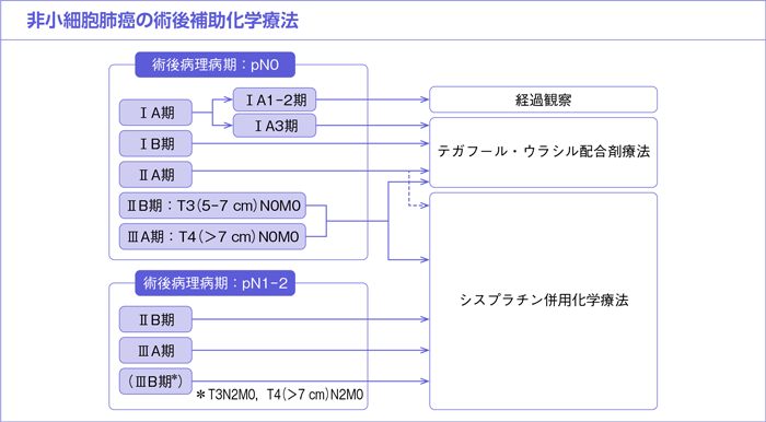 非小細胞肺癌の術後補助化学療法