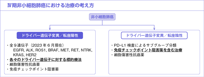 Ⅳ期非小細胞肺癌における治療の考え方