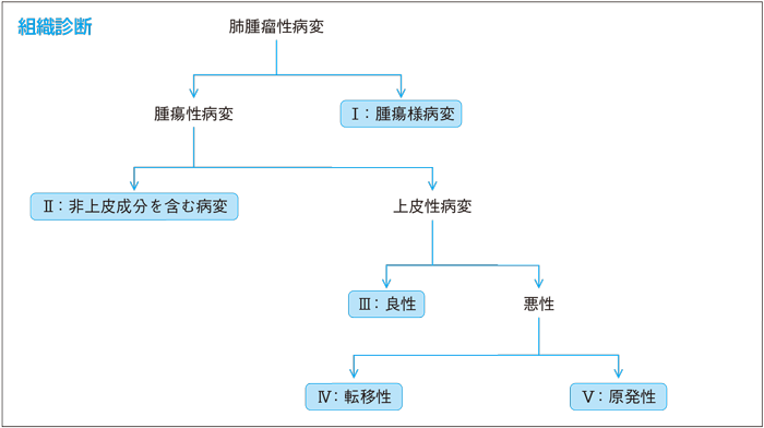 組織診断
