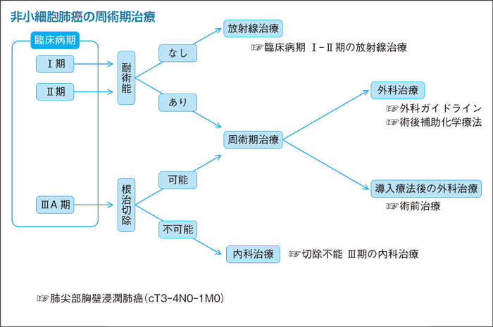 非小細胞肺癌の周術期治療