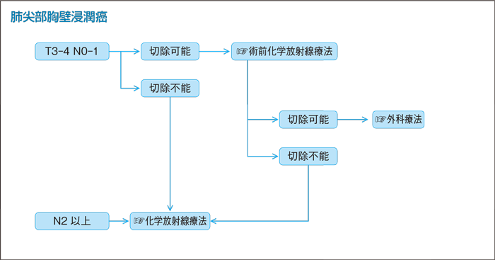 肺尖部胸壁浸潤癌