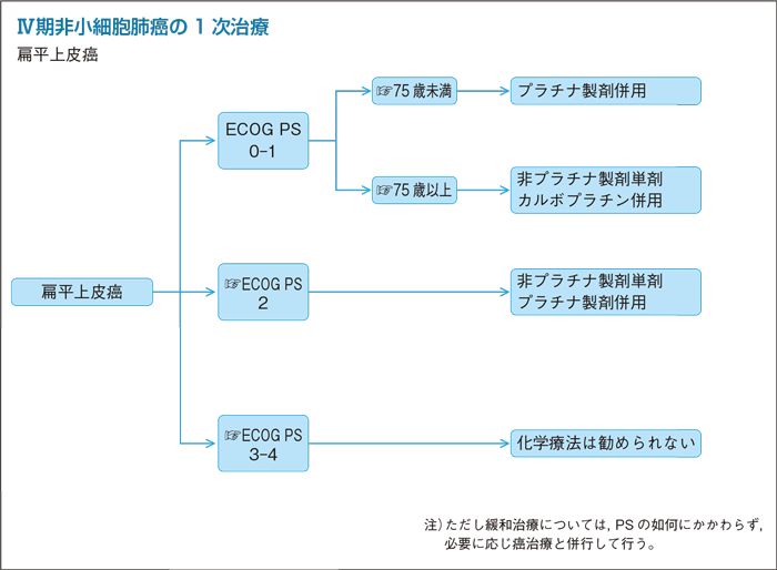 Ⅳ期非小細胞肺癌の1次治療：扁平上皮癌