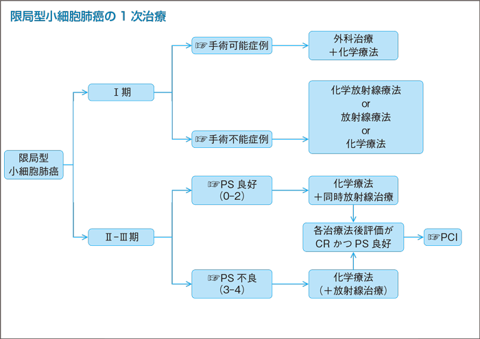 限局型小細胞肺癌の1次治療