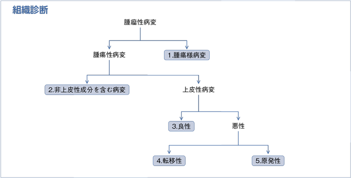 シエン社 | 癌診療指針のための病理診断プラクティス