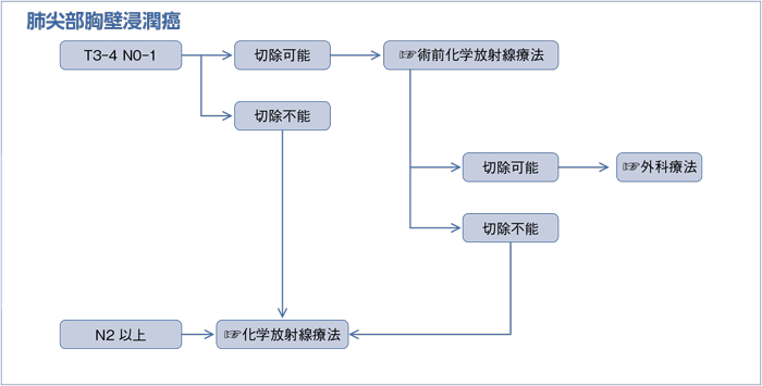 肺尖部胸壁浸潤癌
