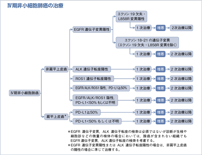 Ⅳ期非小細胞肺癌の治療