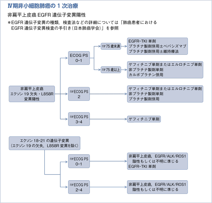 Ⅳ期非小細胞肺癌の1次治療　非扁平上皮癌EGFR遺伝子変異陽性