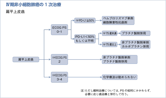 Ⅳ期非小細胞肺癌の1次治療 扁平上皮癌