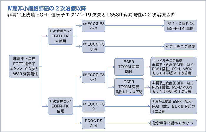 Ⅳ期非小細胞肺癌の2次治療以降　非扁平上皮癌EGFR 遺伝子エクソン19欠失とL858R変異陽性の2次治療以降