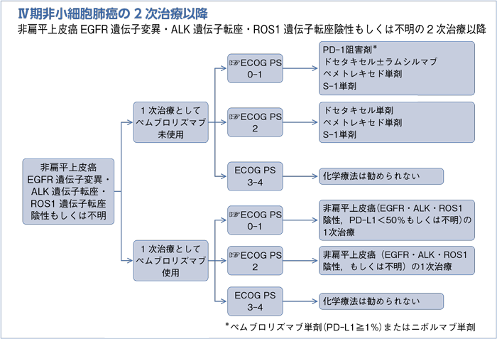 Ⅳ期非小細胞肺癌の2次治療以降 非扁平上皮癌EGFR遺伝子変異・ALK遺伝子転座・ROS1遺伝子転座陰性もしくは不明の2次治療以降