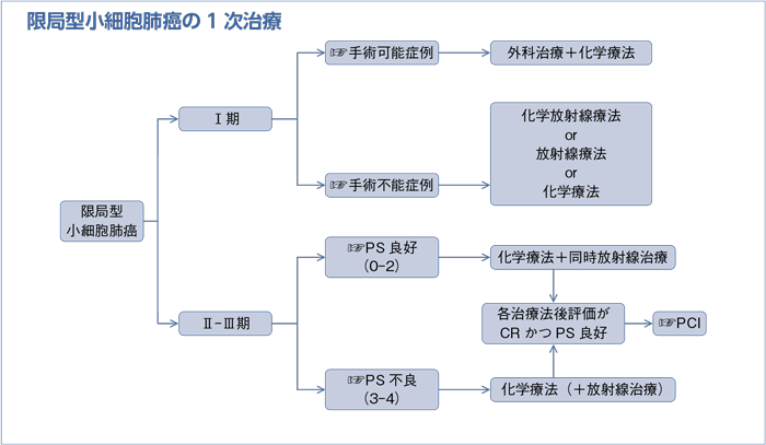 限局型小細胞肺癌の1次治療