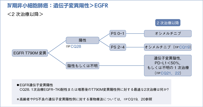 Ⅳ期非小細胞肺癌:遺伝子変異陽性>EGFR <2次治療以降>