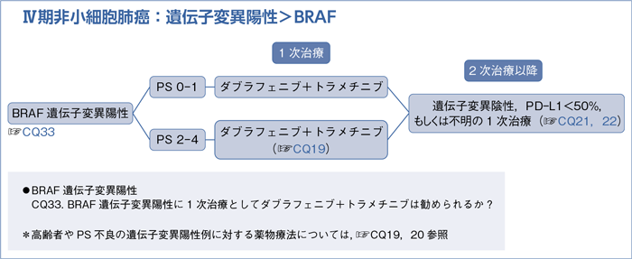 Ⅳ期非小細胞肺癌:遺伝子変異陽性>BRAF