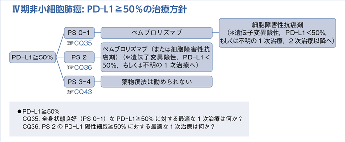 Ⅳ期非小細胞肺癌: PD-L1≧50%の治療方針