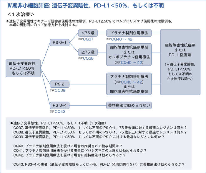 Ⅳ期非小細胞肺癌: 遺伝子変異陰性，PD-L1＜50％，もしくは不明　＜1次治療＞