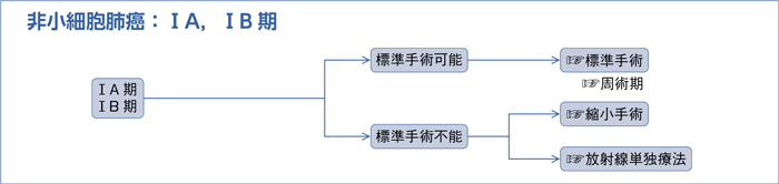 非小細胞肺癌：ⅠA，B期