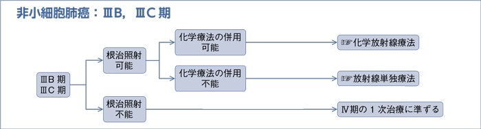 非小細胞肺癌：ⅢB，ⅢC期