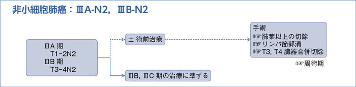 非小細胞肺癌：ⅢA-N2，ⅢB-N2