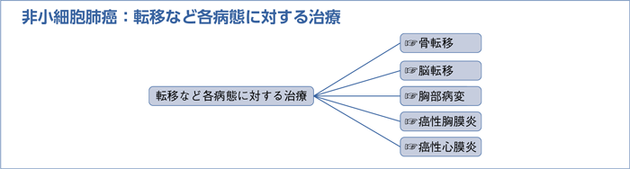 非小細胞肺癌：転移など各病態に対する治療