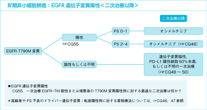 Ⅳ期非小細胞肺癌:EGFR遺伝子変異陽性<二次治療以降>