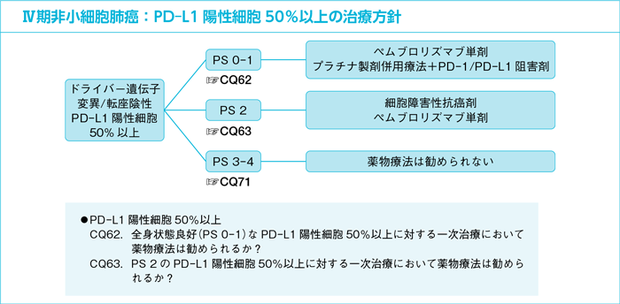 Ⅳ期非小細胞肺癌:PD-L1陽性細胞50%以上の治療方針