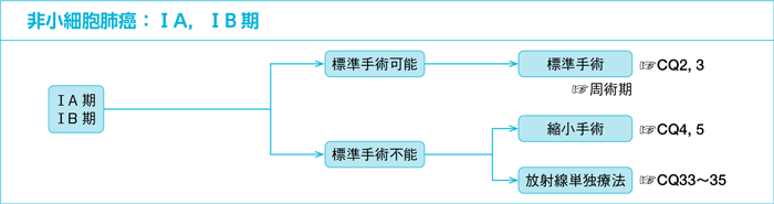 非小細胞肺癌：ⅠA，ⅠB期