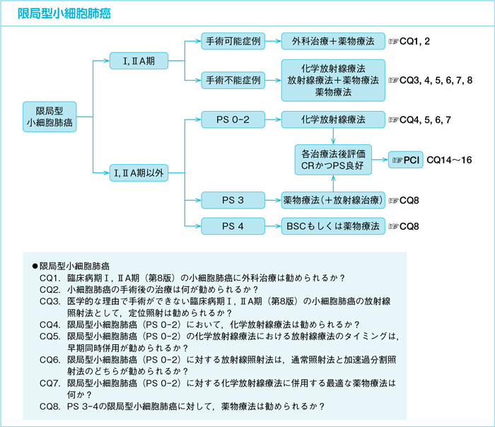 限局型小細胞肺癌