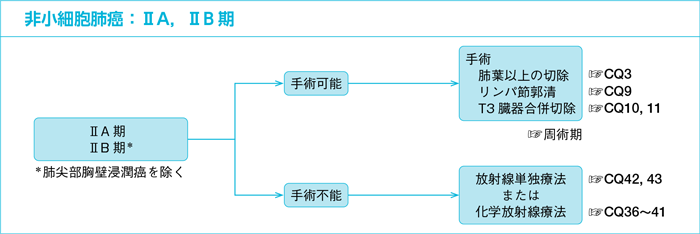 非小細胞肺癌：ⅡA，ⅡB期