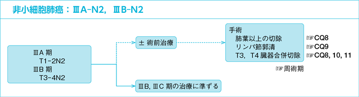 非小細胞肺癌：ⅢA-N2，ⅢB-N2