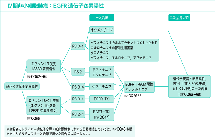 Ⅳ期非小細胞肺癌：EGFR遺伝子変異陽性