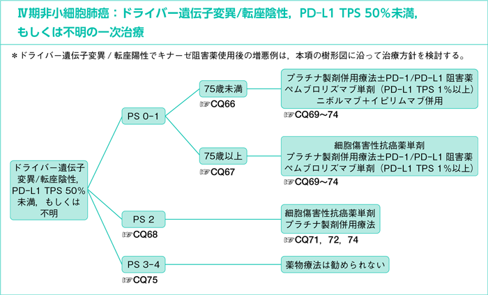 Ⅳ期非小細胞肺癌：ドライバー遺伝子変異/転座陰性，PD-L1 TPS 50％未満，もしくは不明の一次治療