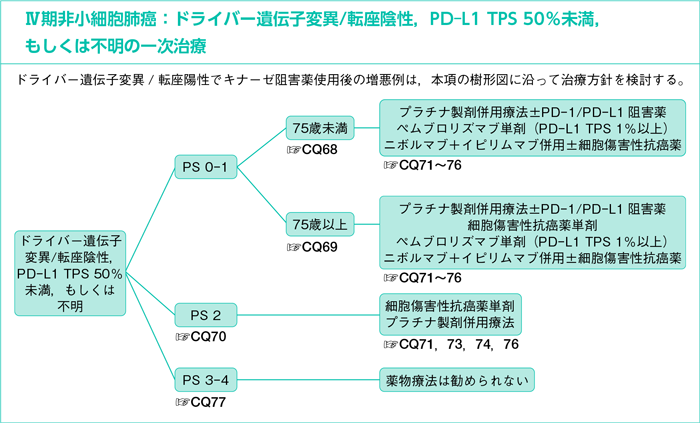 Ⅳ期非小細胞肺癌：ドライバー遺伝子変異/転座陰性，PD-L1 TPS 50％未満，もしくは不明の一次治療